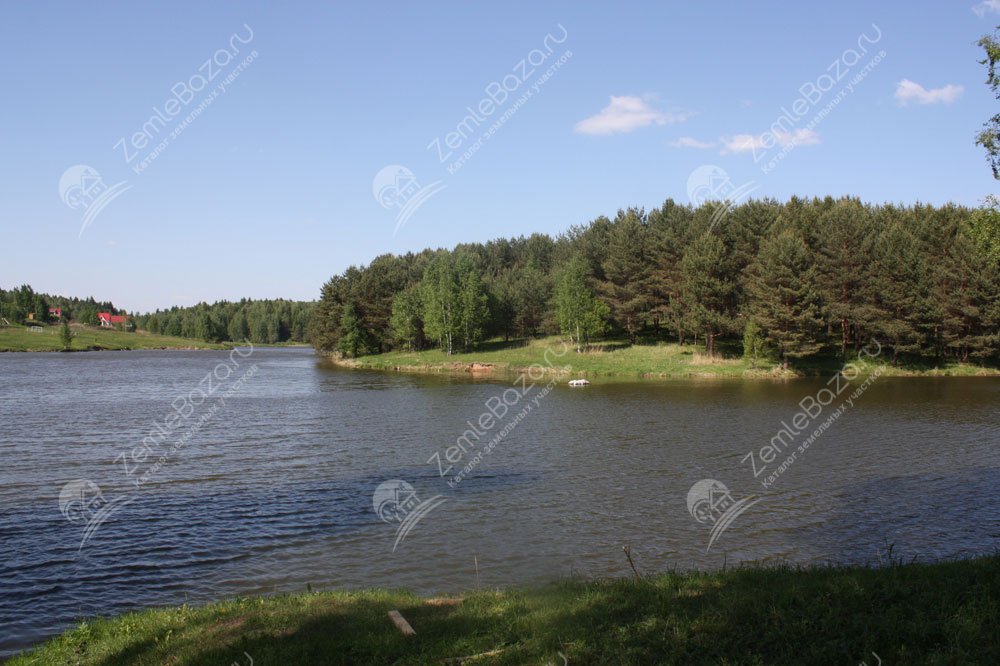 Белое озеро чеховский. Шарапово пруд. Лесная озеро Калужская